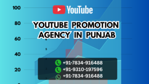 Youtube Promotion Agency In Punjab